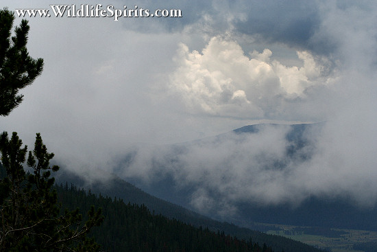 Click Picture to send as an  E-PostCard 66k 550x367